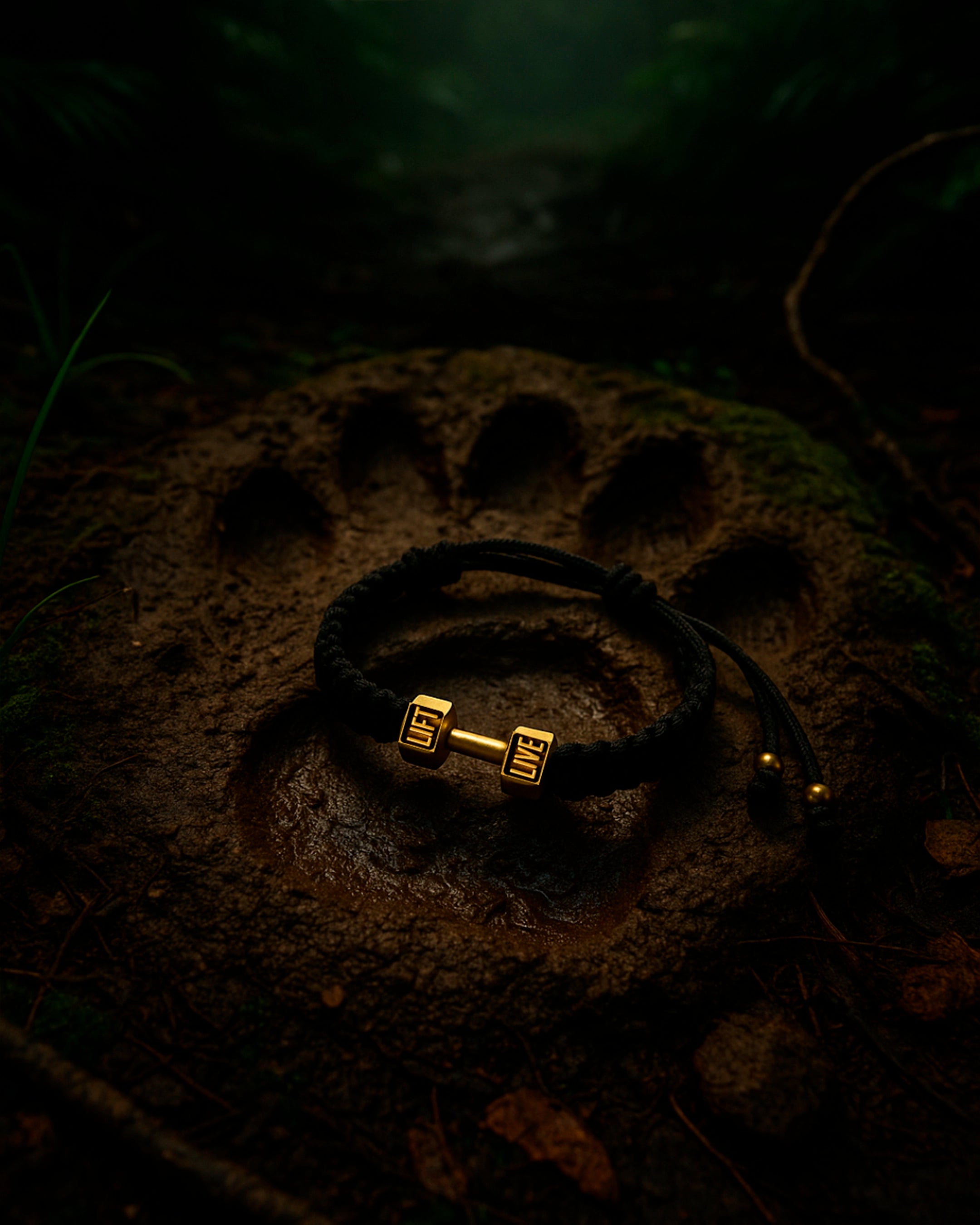 Pulsera Fitness