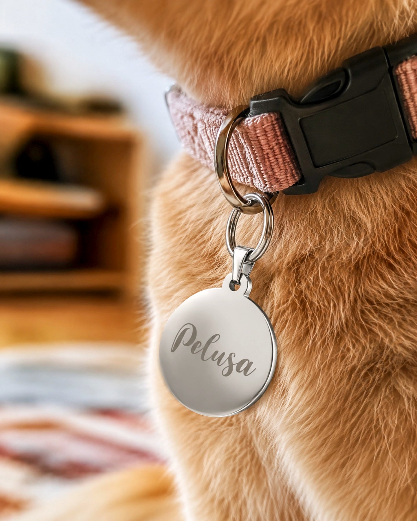 Placa para Mascota – Personalizada a Láser