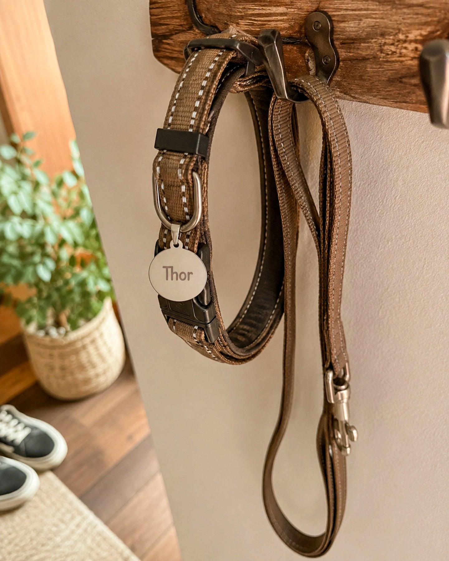 Placa para Mascota – Personalizada a Láser