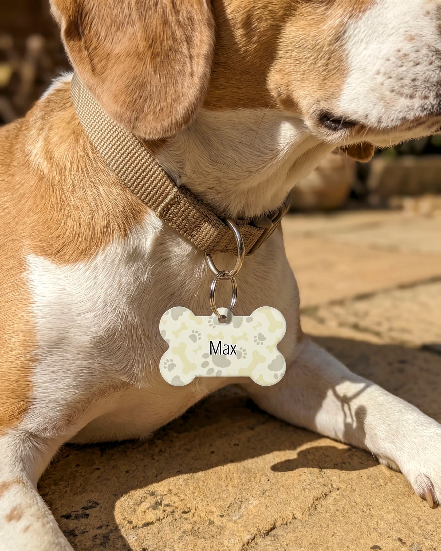 Tag Personalizado Para Mascota