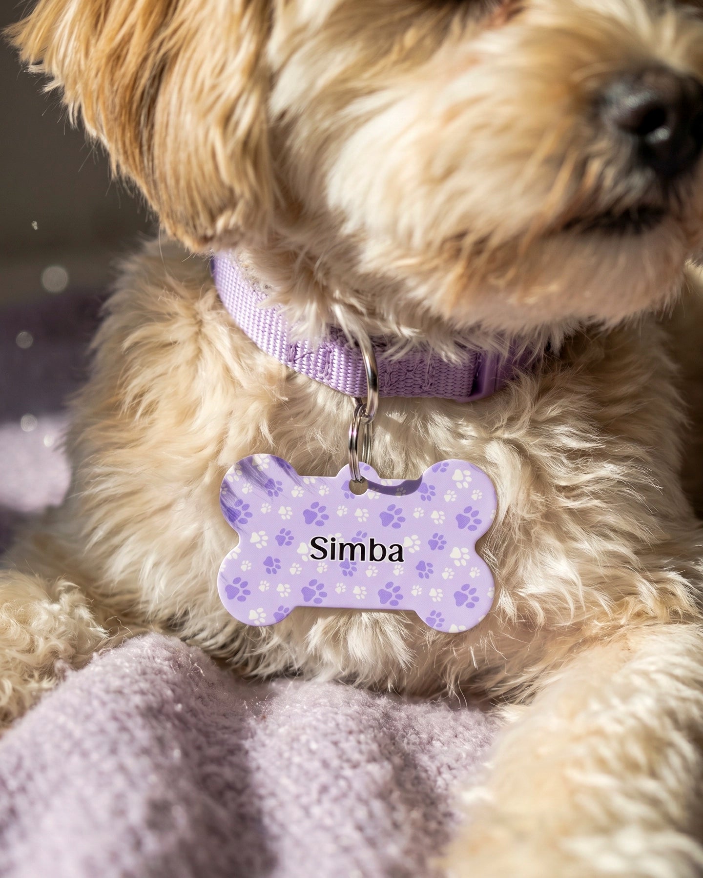 Tag Personalizado Para Mascota