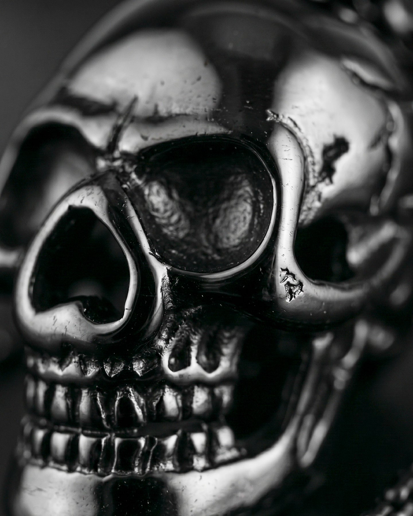 Collar Calavera – Edición Street
