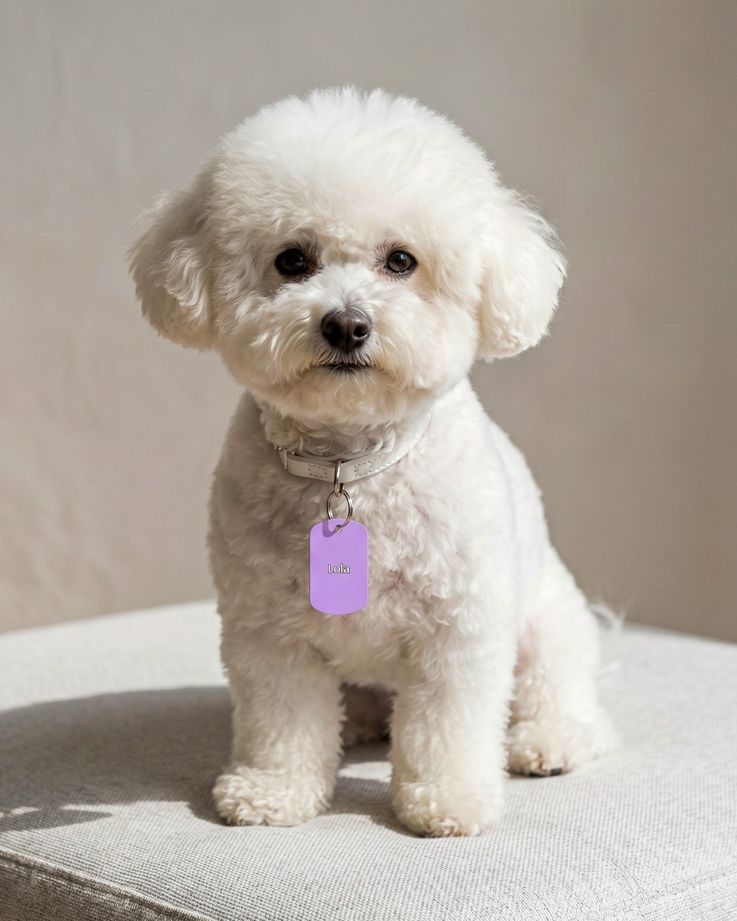 Tag Personalizado Para Mascota