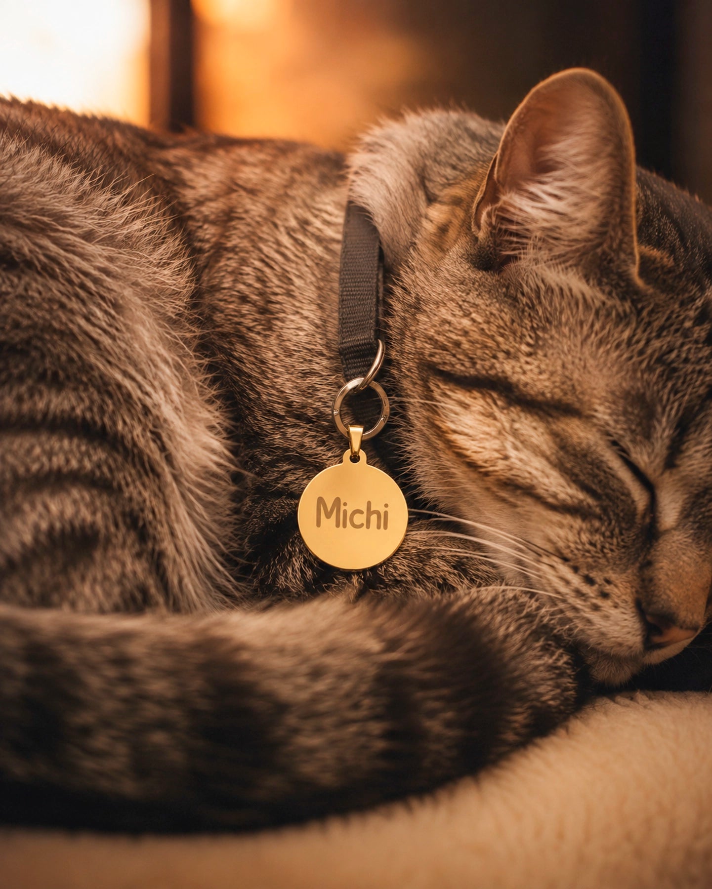 Placa para Mascota – Personalizada a Láser