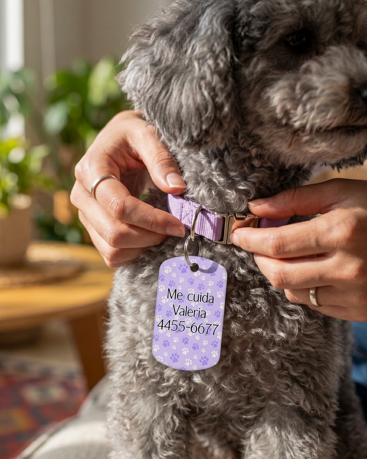 Tag Personalizado Para Mascota