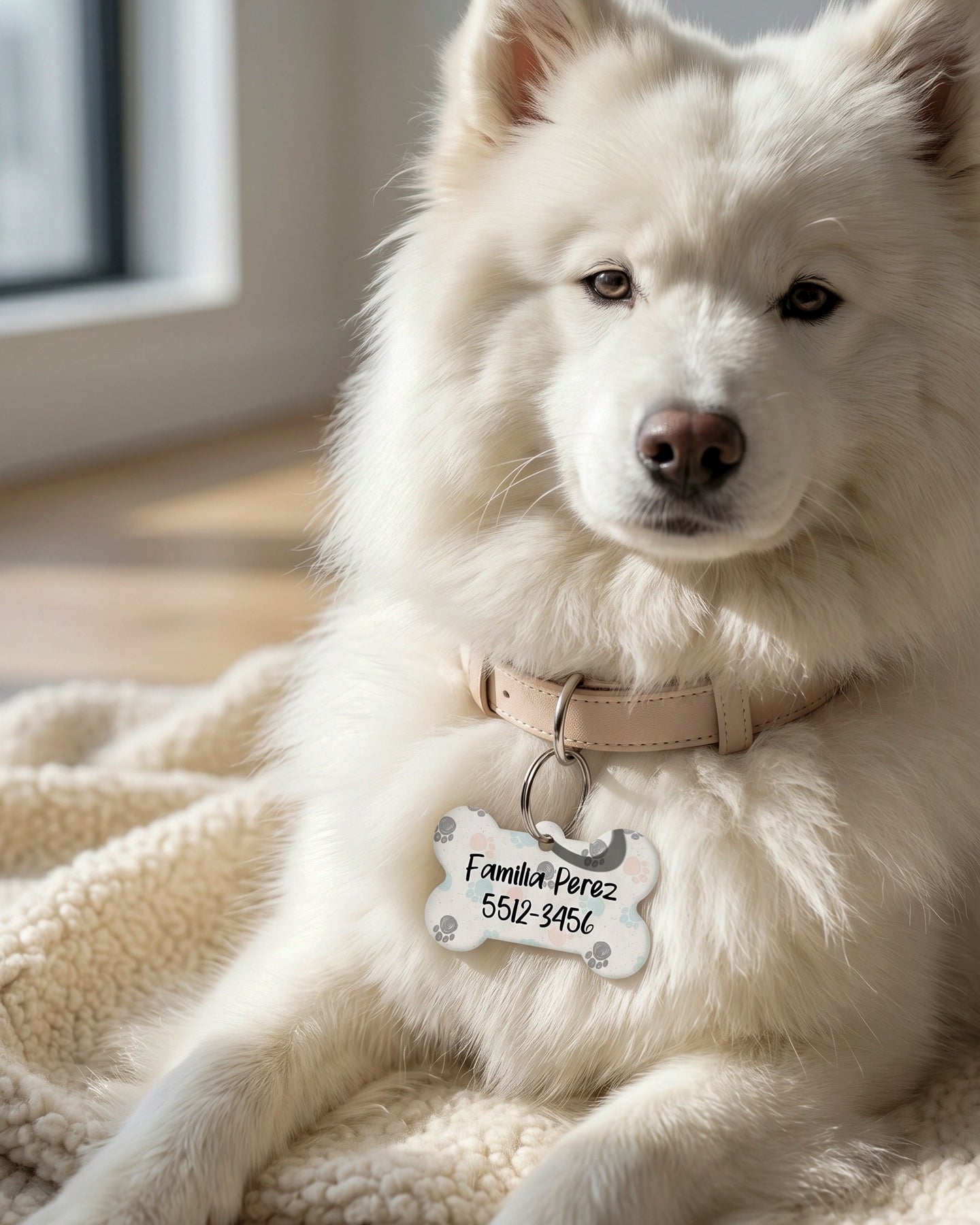 Tag Personalizado Para Mascota