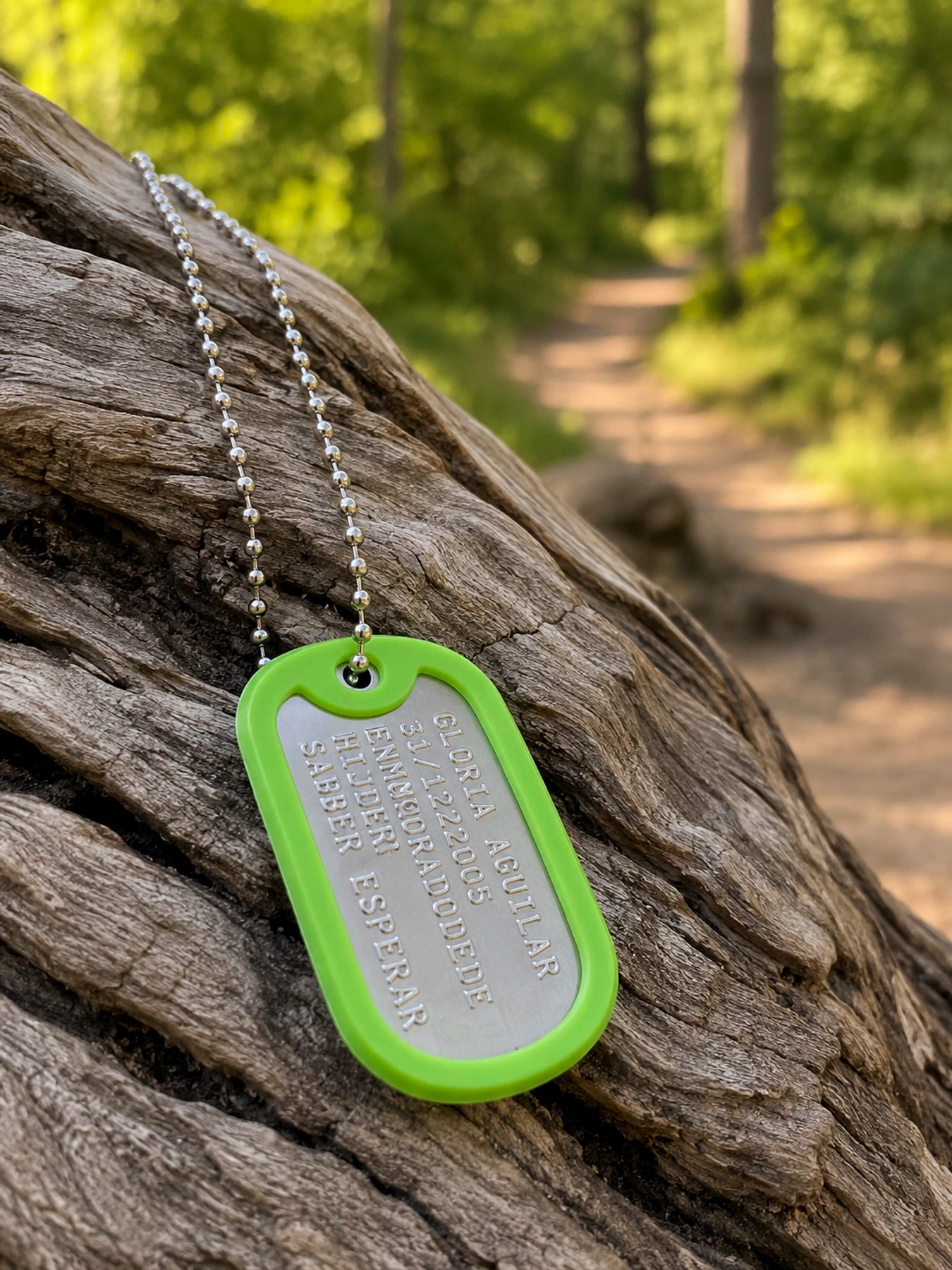 Placa Dog Tag Troquelada – Personalizada