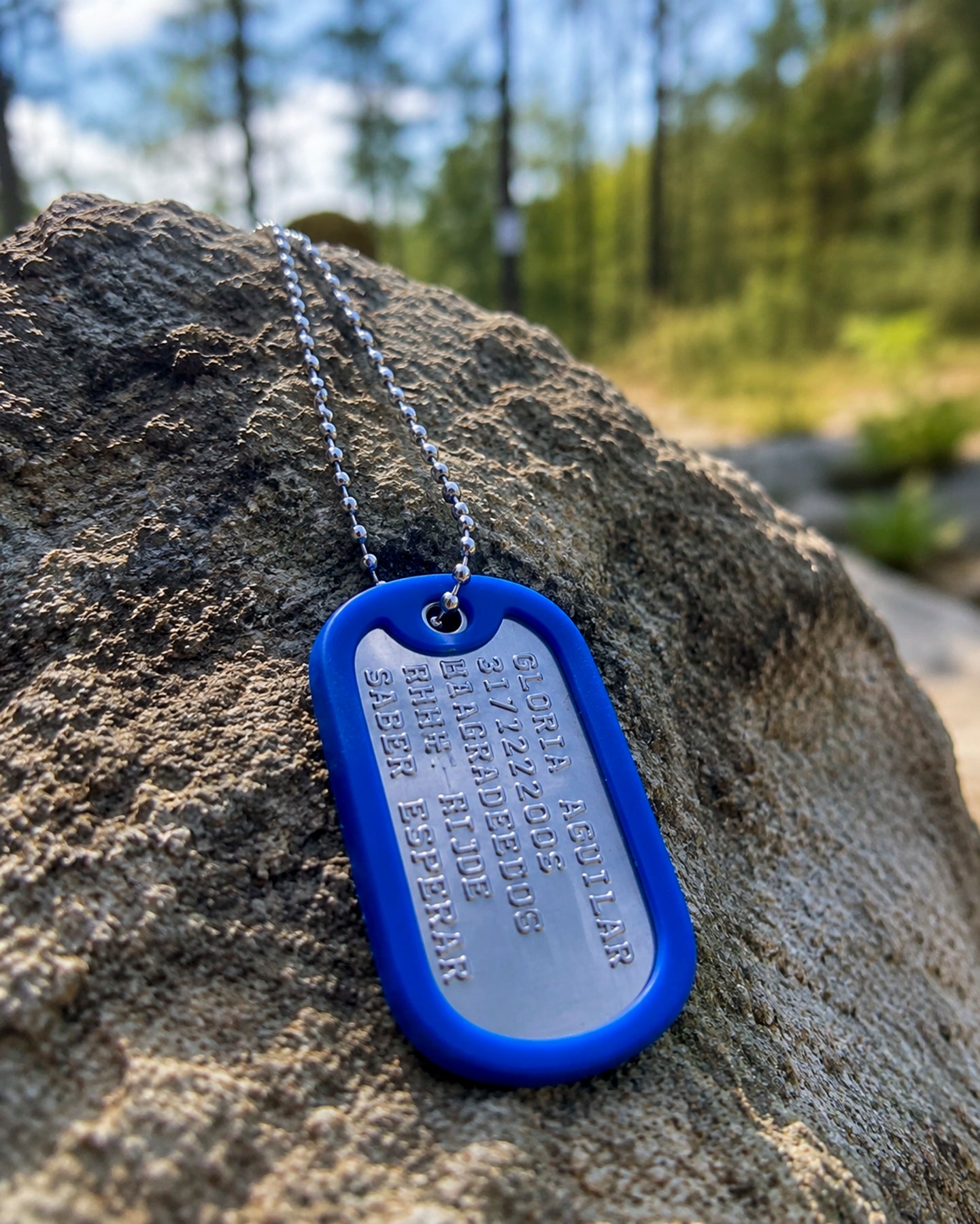 Placa Dog Tag Troquelada – Personalizada